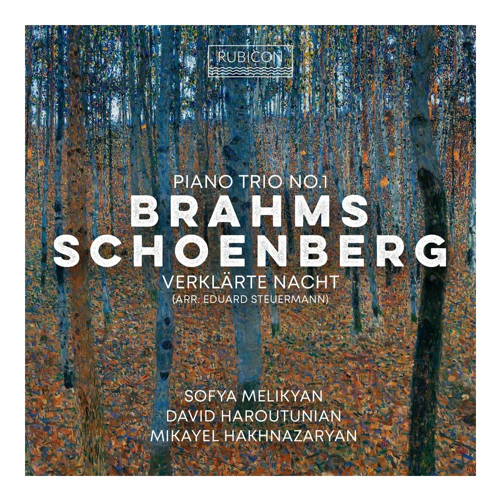 BRAHMS - Melikyan - Trio avec piano n°1 en si majeur op.8